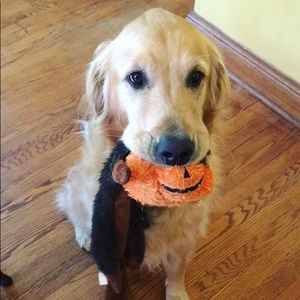 Meet your Posher, Katherine